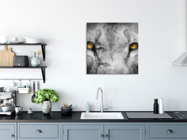 Nahaufnahme Löwe mit gelben Augen, Glasbild Quadratisch Zu verkaufen – Bild 3