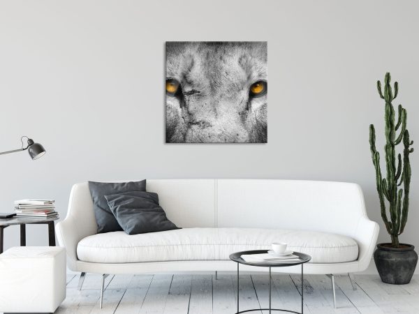 Nahaufnahme Löwe mit gelben Augen, Glasbild Quadratisch Zu verkaufen – Bild 2