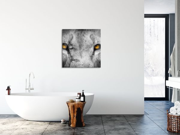 Nahaufnahme Löwe mit gelben Augen, Glasbild Quadratisch Zu verkaufen – Bild 4